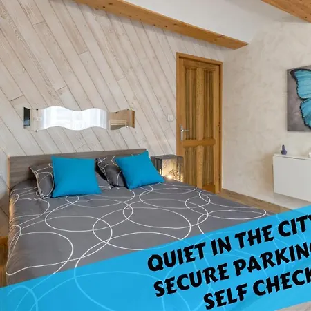 Les Nuits D'anis - Hypercentre Le Puy-en-Velay