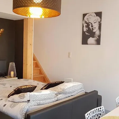 Les Nuits D'anis - Hypercentre *