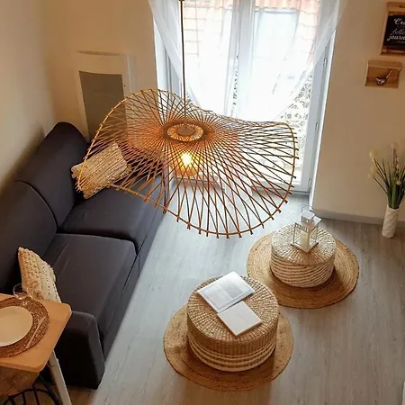 Les Nuits D'anis - Hypercentre *