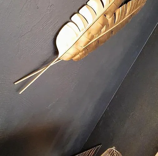 Les Nuits D'anis - Hypercentre