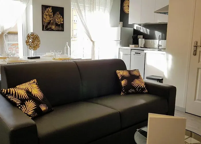 Les Nuits D'anis - Hypercentre Appartement