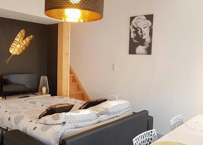 Les Nuits D'anis - Hypercentre *