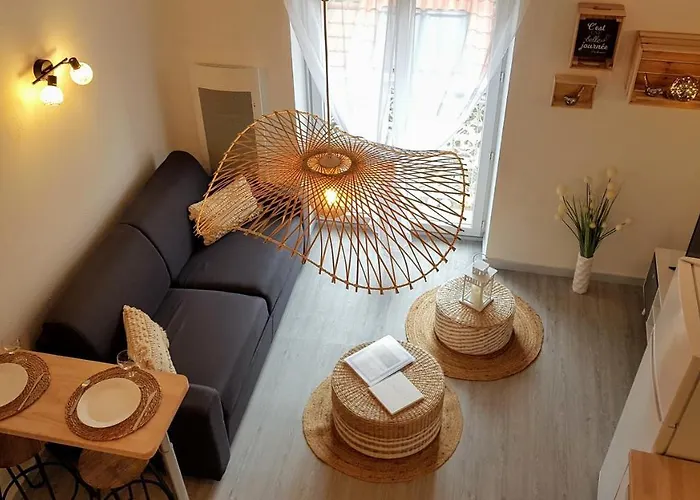 Les Nuits D'anis - Hypercentre *